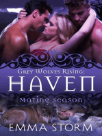 Haven: Grey Wolves Rising, #5