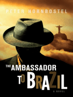 The Ambassador to Brazil