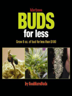 Marijuana Buds for Less: Grow 8 oz. of Bud for Less Than $100