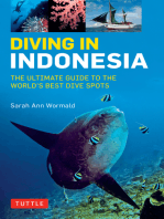 Diving in Indonesia: The Ultimate Guide to the World's Best Dive Spots: Bali, Komodo, Sulawesi, Papua, and more