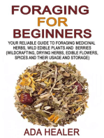 Foraging for Beginners: Your Reliable Guide to Foraging Medicinal Herbs, Wild Edible Plants and Berries, #1