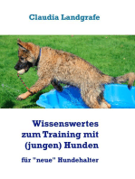 Wissenswertes zum Training mit (jungen) Hunden