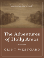 The Adventures of Holly Amos