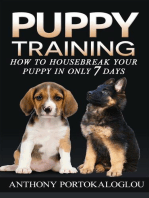 Puppy Training: How to Housebreak Your Puppy in Only 7 Days