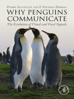 Why Penguins Communicate