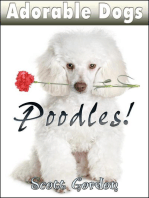 Adorable Dogs: Poodles: Adorable Dogs