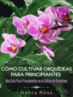 Cómo Cultivar Orquídeas Para Principiantes: Una Guía Para Principiantes en el Cultivo de Orquídeas