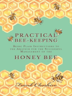 Practical Bee-Keeping - Being Plain Instructions to the Amateur for the Successful Management of the Honey Bee