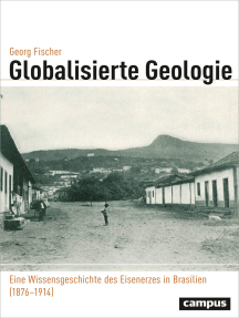 Globalisierte Geologie: Eine Wissensgeschichte des Eisenerzes in Brasilien (1876 - 1914)