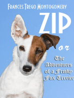 Zip or The Adventures of a Frisky Fox Terrier
