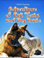 Adventure of Cat Tosha and Dog Brake