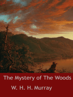 The Mystery of The Woods