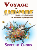 Voyage en Agoraphobie Comment j'ai vaincu 15 années d'agoraphobie