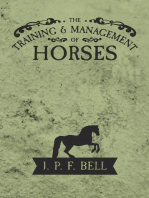 The Training and Management of Horses