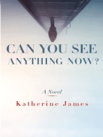 Can You See Anything Now?: A Novel