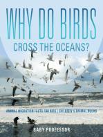 Why Do Birds Cross the Oceans? Animal Migration Facts for Kids | Children's Animal Books