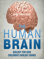 The Human Brain - Biology for Kids | Children's Biology Books