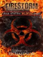 Firestorm: The Wildfire Saga, #3