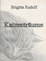 Katzenträume