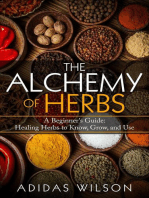 The Alchemy of Herbs - A Beginner's Guide: Healing Herbs to Know, Grow, and Use
