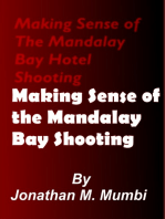 Making Sense of the Mandalay Bay Hotel Shooting
