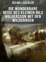 Die wunderbare Reise des kleinen Nils Holgersson mit den Wildgänsen: Kinderbuch-Klassiker