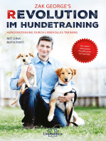 Revolution im Hundetraining: Hundeerziehung durch liebevolles Training