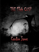 The 13th Cusp