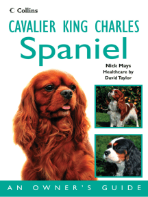 owning 2 cavalier king charles spaniels