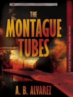 The Montague Tubes: The Kidnapping Anna Trilogy, #3