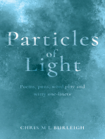 Particles of Light: Poems, puns, word play and witty one-liners