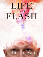 Life In A Flash