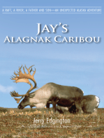 Jay's Alagnak Caribou