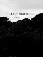 The Woodlands