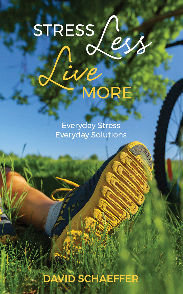 Stress Less, Live More: Everyday Stress, Everyday Solutions by David ...