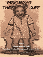 Mystery at the Cliff: Book 2