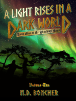 A Light Rises in a Dark World: Volume 2
