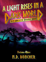 A Light Rises in a Dark World