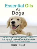 Essential Oils For Dogs