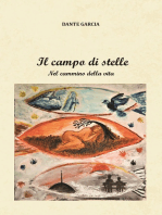 Il campo di stelle (Nel Cammino della Vita)