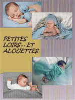 Petit Loir et Alouettes