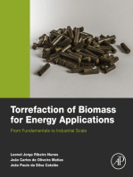 Torrefaction of Biomass for Energy Applications: From Fundamentals to Industrial Scale