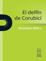 El Delfín de Corubicí