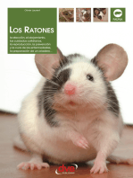 Los ratones