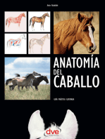Anatomía del caballo: Guía práctica ilustrada