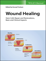 Wound Healing: Stem Cells Repair and Restorations, Basic and Clinical Aspects