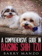 A Comprehensive Guide In Raising Shih Tzu