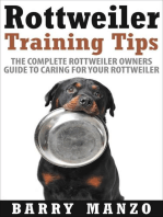 Rottweiler Training Tips