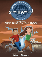 New Kids on the Rock: Small World Global Protection Agency