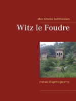 Witz le Foudre: roman d'après-guerres
